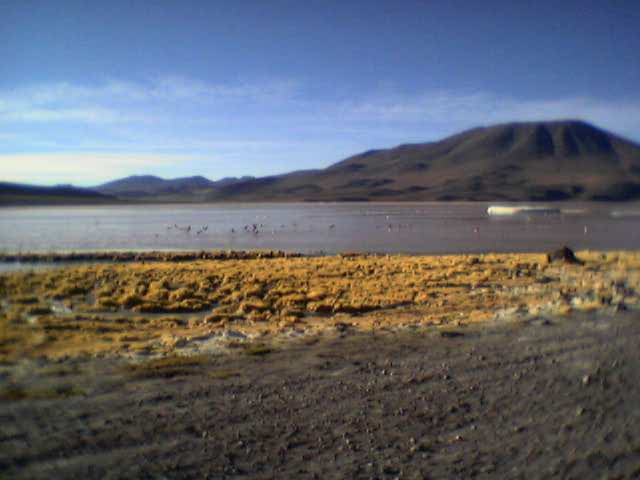 Laguna Colorada, vol met flamingo's.